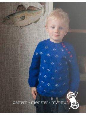 Boys Sweater Whit Pattern